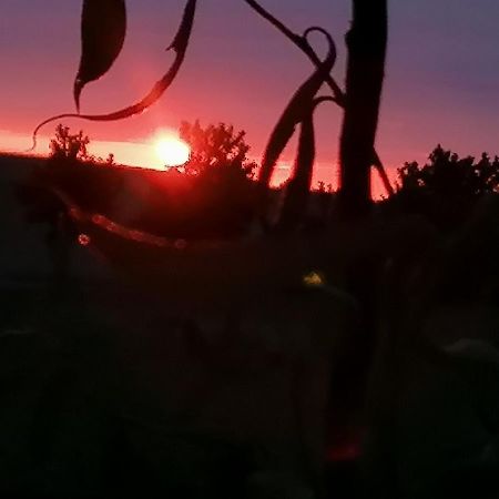 Ferienwohnung Am Haffberg Neverow Buitenkant foto