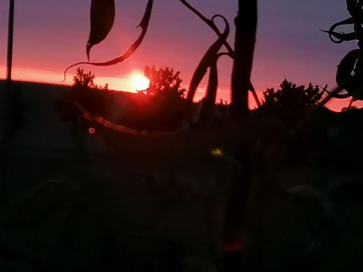Ferienwohnung Am Haffberg Neverow Buitenkant foto